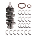Set of 4 Engine Crankshaft Main Rod Bearings for Hyundai Kia Sorento (2011–2016)