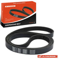 Serpentine Belt for Ford Focus (2005–2007) Transit Connect (2011–2013)