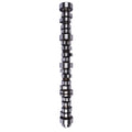Camshaft for Chevy Colorado Express Tahoe GMC Canyon (2007–2017)