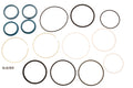 Seal Kit for ZF (Various Models)