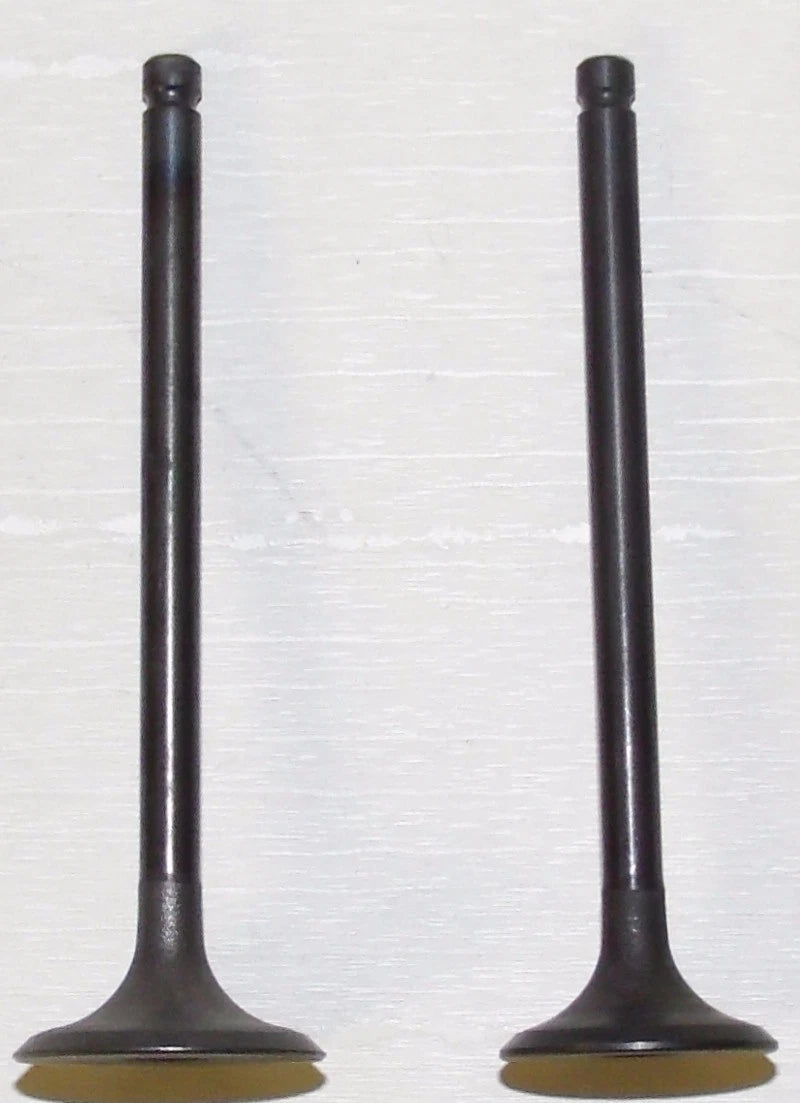 Engine Valve Kit WSM 160 LT for 1989-2001 (Part No. 017-206)