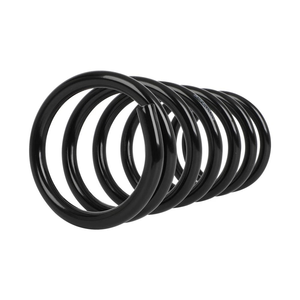 Set of 2 Rear Coil Springs for Nissan Maxima (2009-2014)