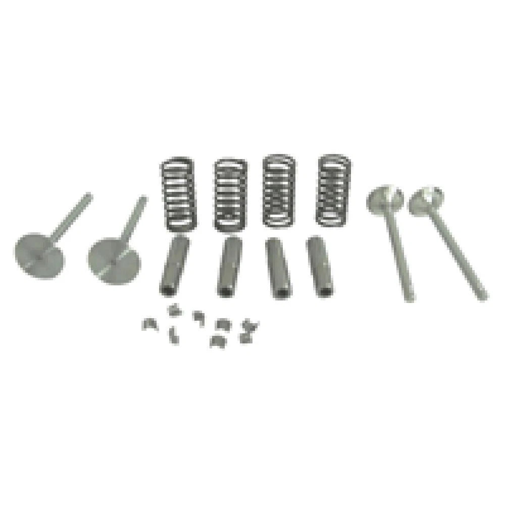Valve Train Kit with Guides, Springs, Locks for 420 430 440