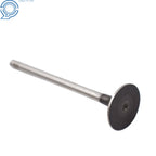 Set of 8 Intake Exhaust Valves for Audi A4 TT Volkswagen Passat Jetta (1996–2005)