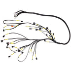 K-Series Tucked Engine Harness for Honda Acura K20 K24 (1990–2001)