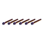 6X M10x55mm Titanium Torx Head Flange Bolts for Motorcycle Bike