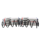 Rear Coil Spring Kit for Chevrolet (4414208)