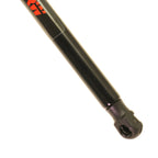 Hood Lift Support for BMW 328i (2013)