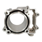 Rebuild Kit for Polaris RZR ACE 570 (2012-2016)