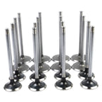 Intake & Exhaust Valves for Chrysler Dodge Ram 1500 Jeep Charger (2009–2018)