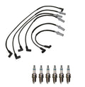 Denso Wire Set & 6 Iridium Power Spark Plugs for Dodge 3.9 V6 (1990–2003)
