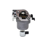Carburetor 699814 699815 for Briggs & Stratton Tractor (Fit 697722)