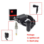 Coil & Spark Plug Kit for Badger 80/Grizzly 80/Raptor 80
