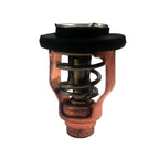 Thermostat for Yamaha F100D Outboard Motor (6D9-12411-00, 6D9-12411)