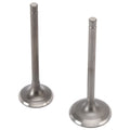 Intake & Exhaust Valve for Yamaha YFM250R Raptor (2008–2013), TW200 Trailway (2001–2021)