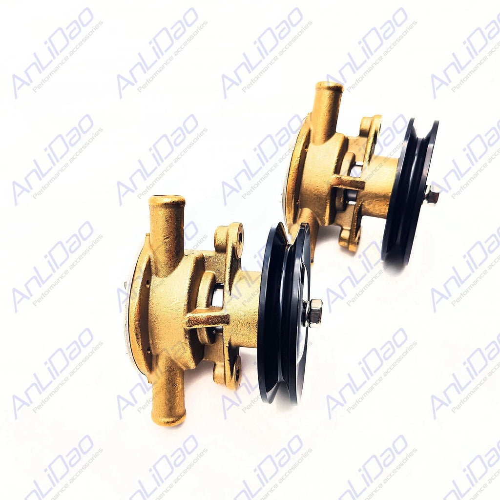 2Pcs Sea Water Pump for Yanmar Johnson (128377-42500, 128397-42500, 10-24509-01)