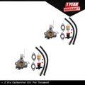 Carburetor Kit for Tecumseh AV520 (2 Pack)