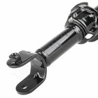Rear Shocks Struts for Honda Civic, Acura Integra (1993–2001)