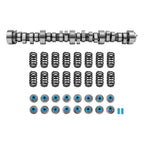 LS9 Camshaft and Valve Springs Kit for LS/LQ 4.8 5.3 5.7 6.0 6.2 (2000–2023)