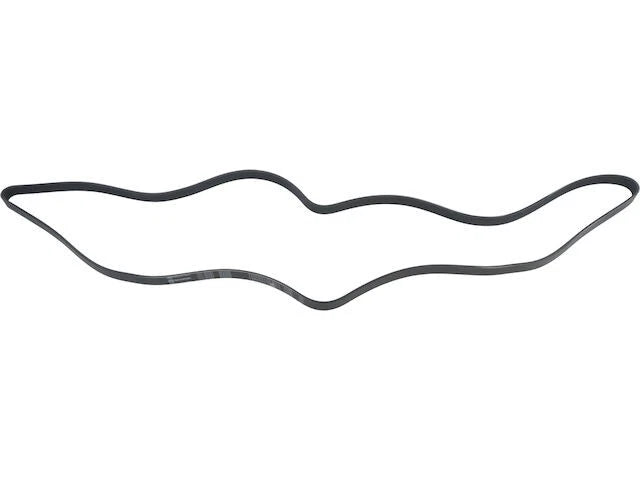 Main Drive Multi Rib Belt for Jaguar X Type (2002–2008) NM176GP