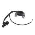 Engine for 1P65F (Lawn Care Equipment)