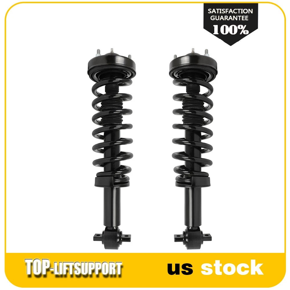 Set of 2 Front Complete Struts Shocks with Coil Springs for Ford F-150