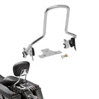 Detachable Sissy Bar for Harley Touring Road Glide (2009–Present) 10" Chrome