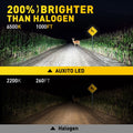 H1 H3 LED Headlight Bulbs Kit for H1 H3 (6500K)