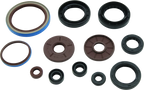 Oil Seal Set for Arctic Cat 1000 TRV (2009–2010)