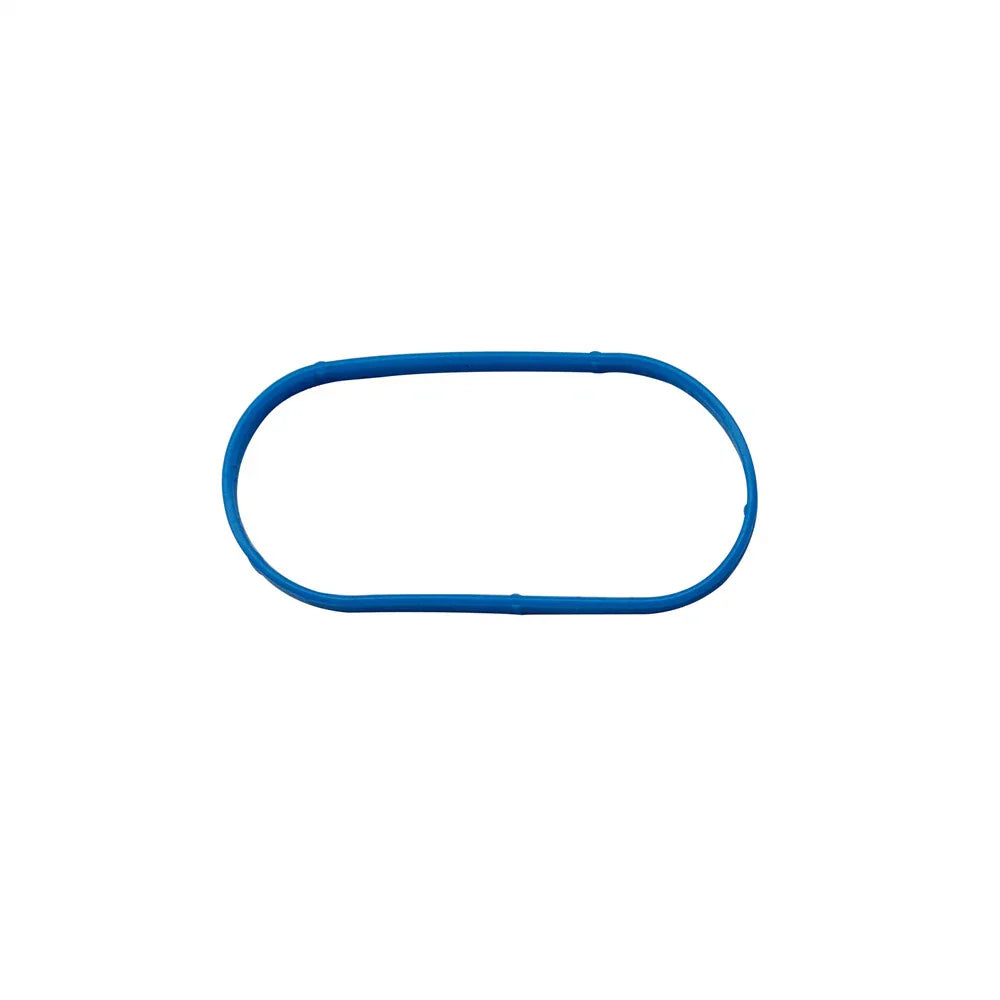 Manifold Plenum Gasket for Chevy Astro Blazer C1500 Express (1996-2005)