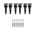 Set of 6 NGK Ignition Coils & Ruthenium Spark Plugs for Santa Fe, Optima (2001–2016)