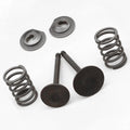 Spring Retainer Kit for Lawnmowers and Water Pumps