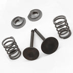 Spring Retainer Kit for Lawnmowers and Water Pumps