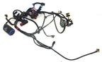 Engine Wire Harness Assy for Evinrude E-tec 65-90hp (2004–2007) 0586764