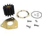 Minor Repair Kit for Sherwood Pump W/04432, 15000, GC1, GC4, GC5, 23981