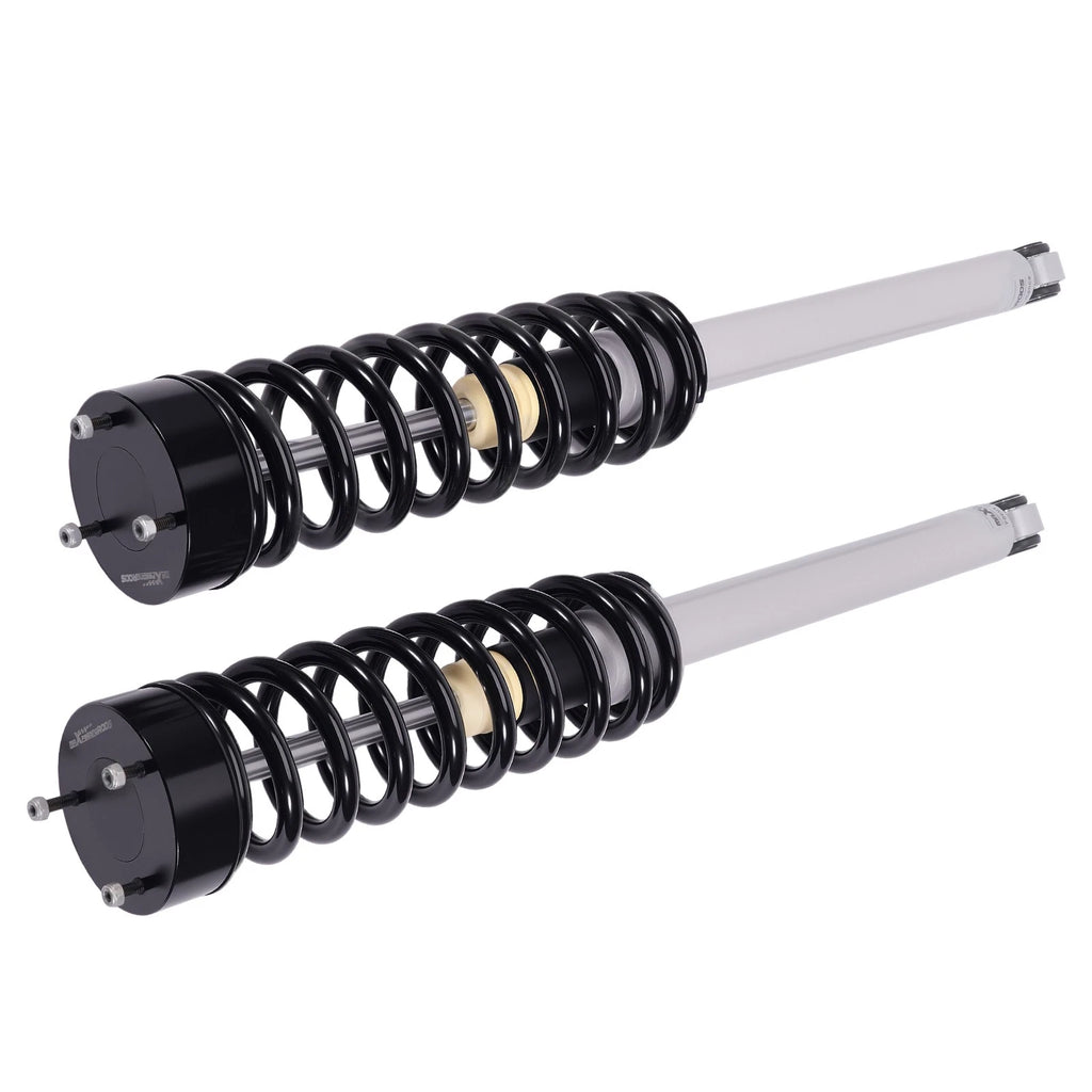 Rear Air Suspension to Coil Spring Strut for Mercedes Benz S-Class W220 (2000–2006)