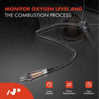 2X O2 Oxygen Sensors for Ram 1500 Jeep Wrangler (2000–2023)