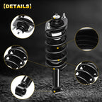 Set of 2 Rear Complete Struts with Coil Springs for Honda CR-V