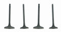 WSM Engine Valve Kit for Honda TRX450R (2004–2005) - 017-028