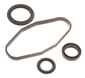Rave Valve Rebuild Kit for Sea Doo 947 951 DI Models (All Years)
