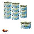 Air Freshener Can for Car/Office - Squash Scent (1.5oz)