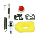 Spark Plug Kit for Sprint & Classic Motors (691859, 692211)