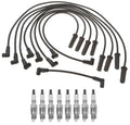 Pro Ignition Wire Set & 8 ACDelco .035" Platinum Spark Plugs for
