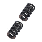 Dual Valve Spring Kit for LS Engines (4.8, 5.3, 6.0, LS1, LS2, LS3)