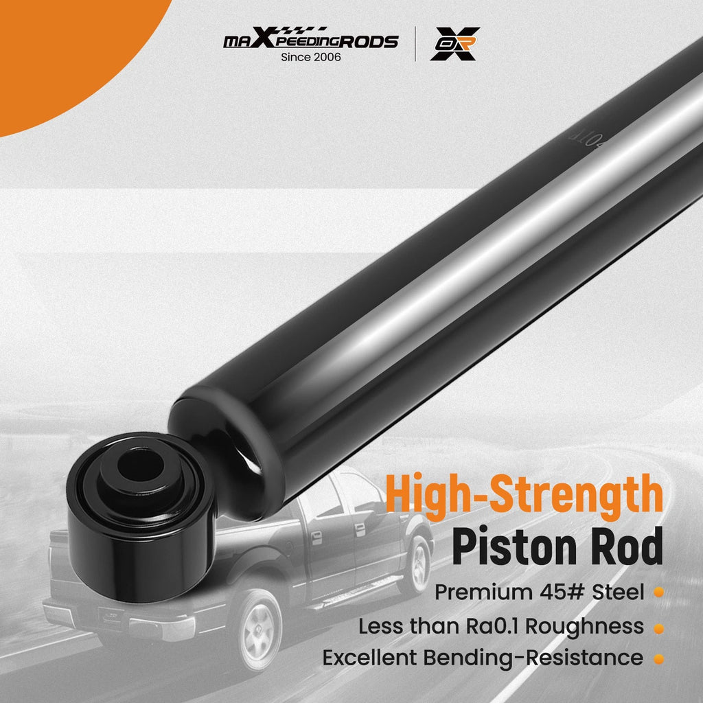 Pair Rear Struts for Nissan Murano (2009-2024)