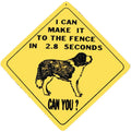 Caution Sign for St Bernard (2.8 Seconds)