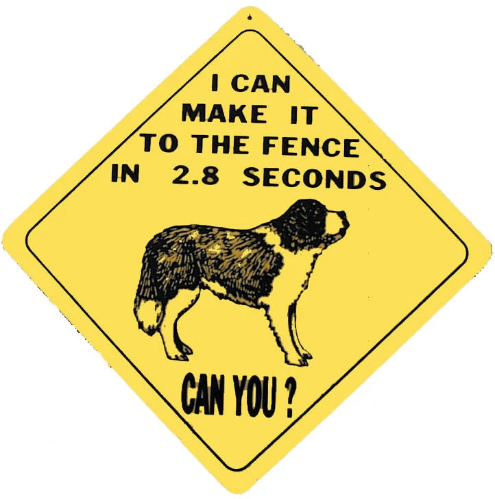 Caution Sign for St Bernard (2.8 Seconds)