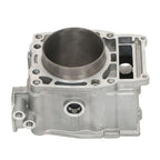 Top End Kit for Polaris Sportsman 500 (1996â2012)